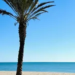 Con Piscina Privada En Primera Linea De Playa