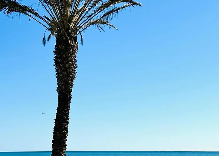 Con Piscina Privada En Primera Linea De Playa